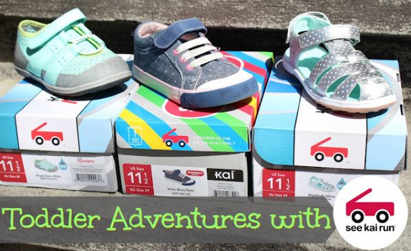 Toddler Adventures with See Kai Run Footwear