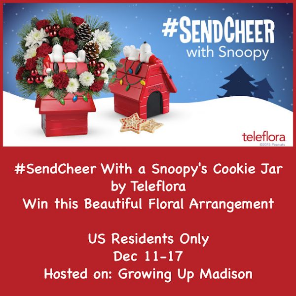 #SendCheer with Snoopy’s  Cookie Jar by Teleflora ! #Giveaway